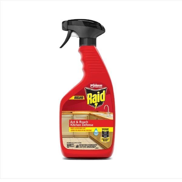 Raid ANT/ROACH KITCHN 22OZ 01569